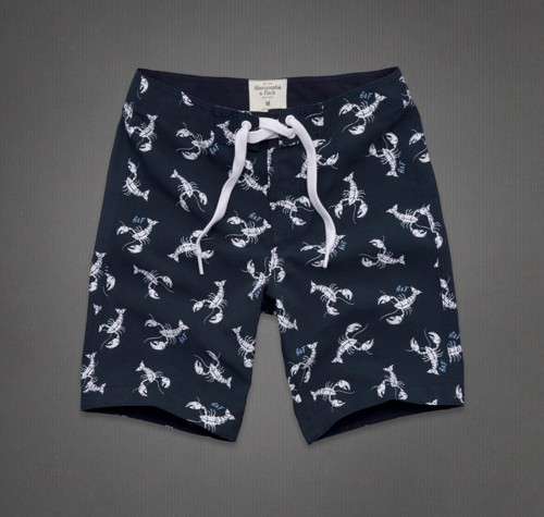 Abercrombie Fitch Hombres Nado Playa Cortos AF7635